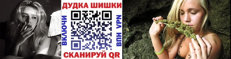 хочу   Ессентуки  Шишки марихуана планчик 